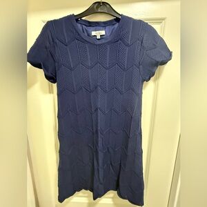 Elegant Navy Lucyparis sculpted lined Dress